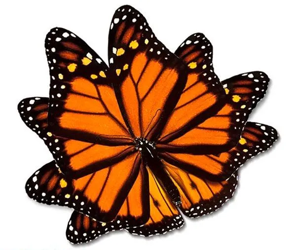 Origen y Técnicas del Control Mental Monarca | El nuevo despertar ...