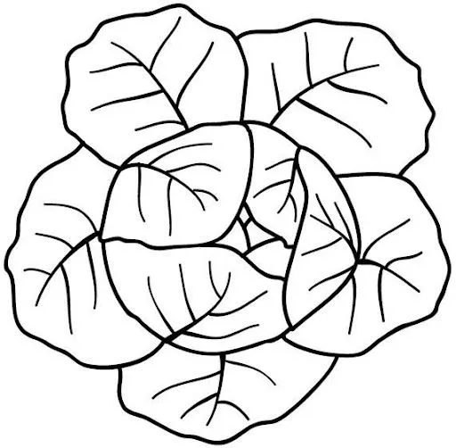 Origenes vegetales para colorear - Imagui