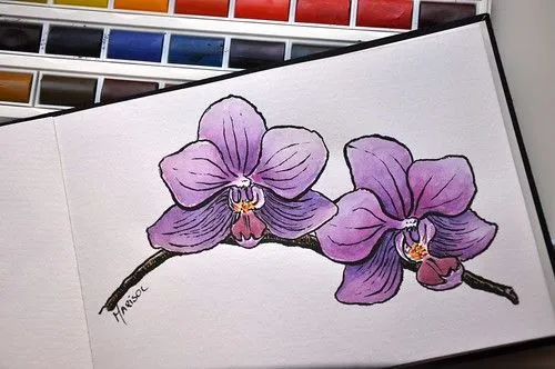 Orquidea drawn with Pentel Brush Pen and watercolors | Flickr ...