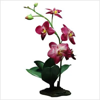 Orquídea - Tienda de ejemplo