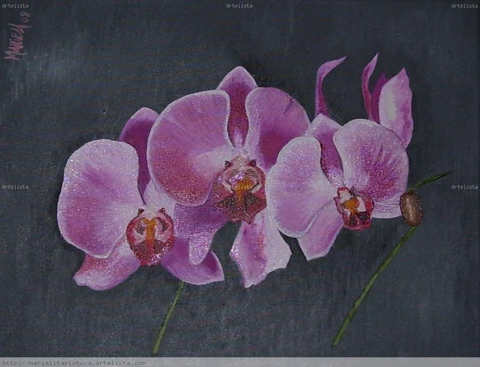 orquídeas mariela gonzález picado - Artelista.