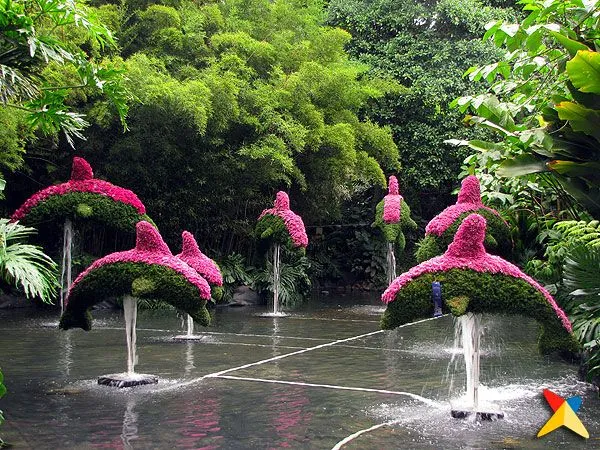 Orquideas, Pajaros y Flores | Viaja x Colombia