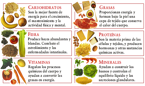 ORTOMOLECULAR FORCE: NO EXISTEN ENFERMEDADES, SINO DEFICIENCIA DE ...