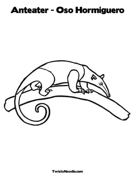 Oso Hormiguero Para Colorear