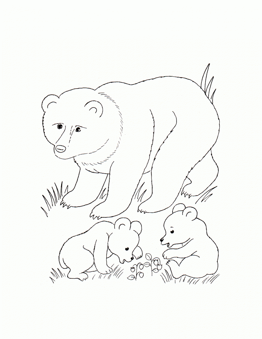 oso pardo Colouring Pages