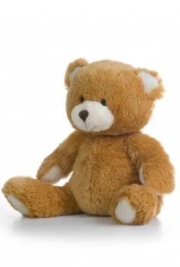 Oso de Peluche a Francia