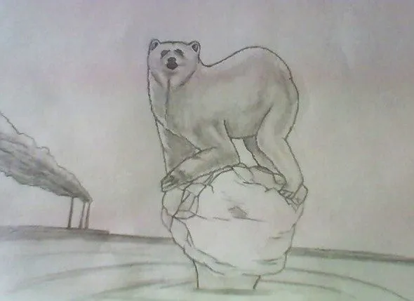 Dibujos de osos a lápiz - Imagui