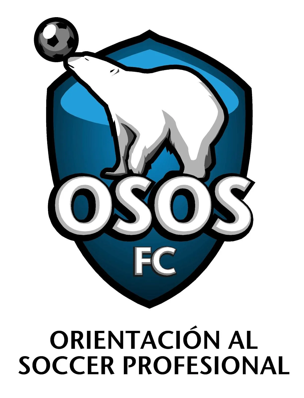 ACADEMIA POLAR OSOS SOCCER