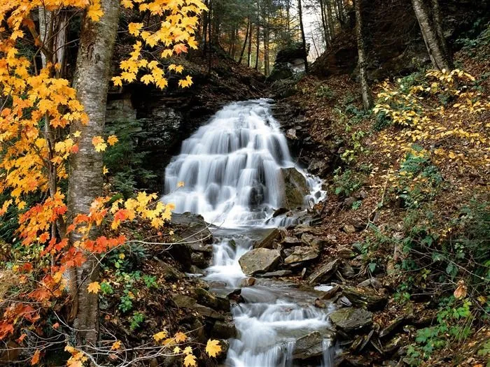 Otoño fondos de escritorio de bellos paisajes #11 - Fondo de ...