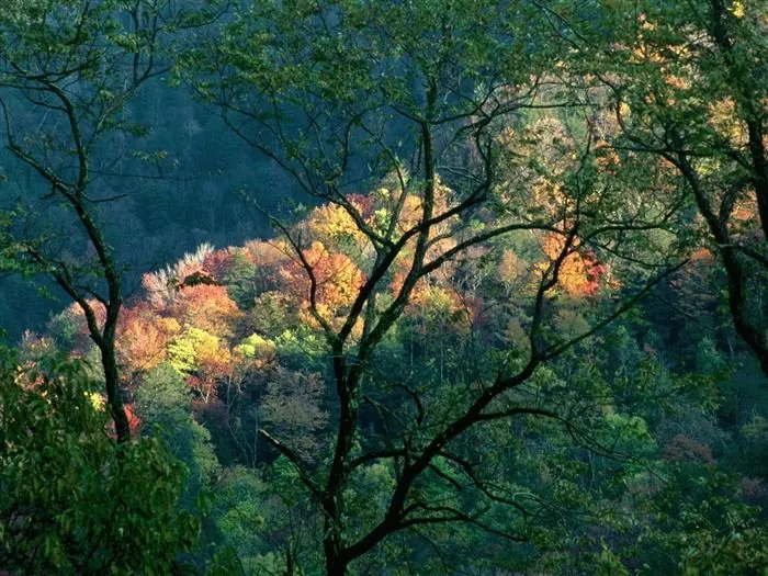 Bellos paisajes para fondo de pantalla - Imagui