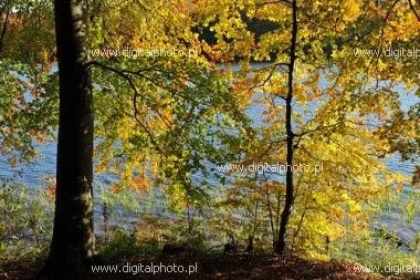 Otoño, hermosos paisajes | Fotos, Banco de fotos, Galería de ...