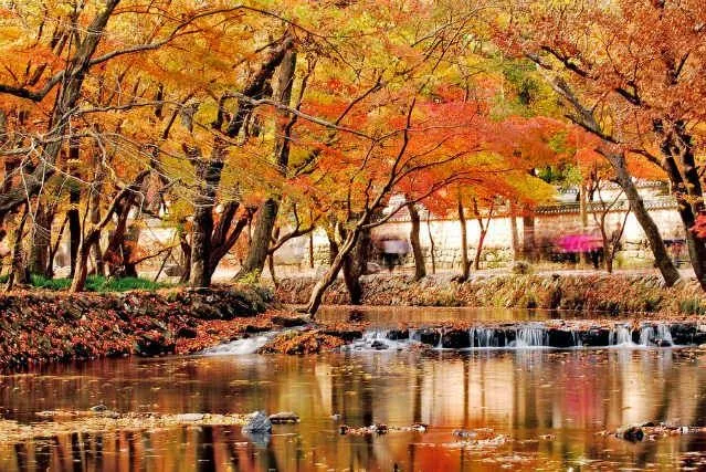 Todo sobre el otoño - Imagenes, Fondos y Moda: Imagenes y paisajes ...