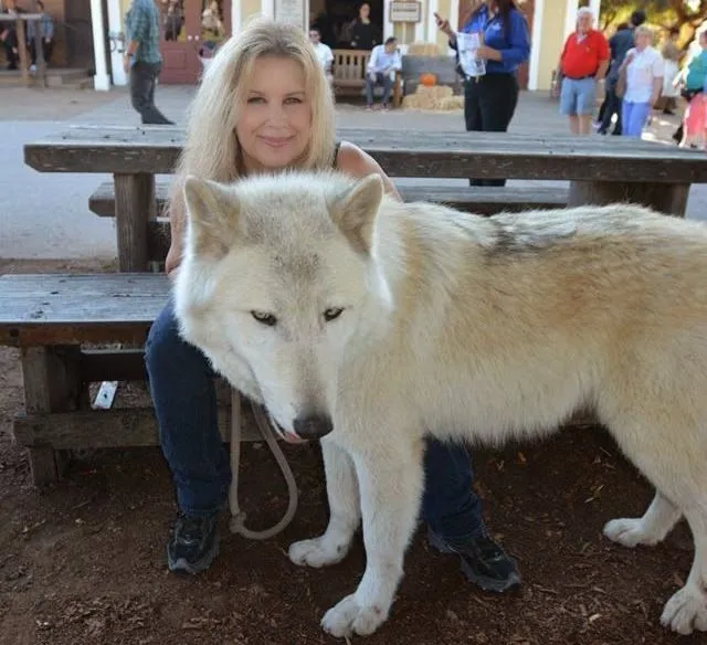 El Ovejero Alemán Negro Sólido: El perro lobo americano y la ...