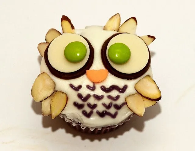 Owl Cupcakes | Flickr - Photo Sharing!