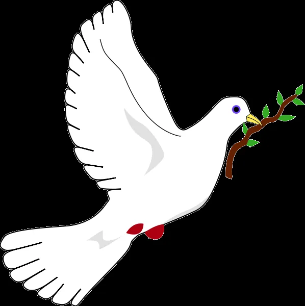 OzTorah » Blog Archive » The dove of peace – No'ach