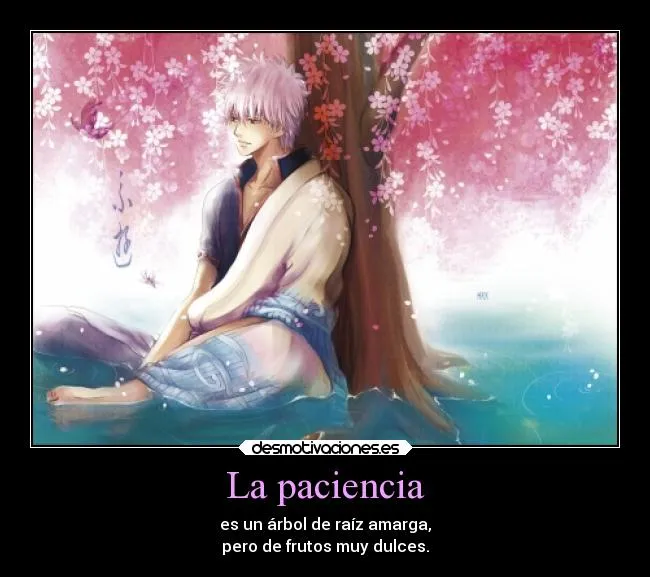 Carteles de Arbol Pag. 9 | Desmotivaciones