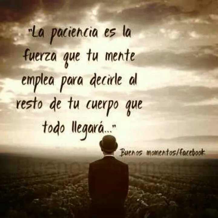 Paciencia | Frases | Pinterest