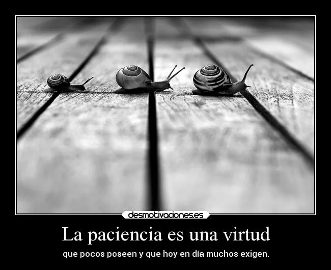 La paciencia es una virtud | Desmotivaciones