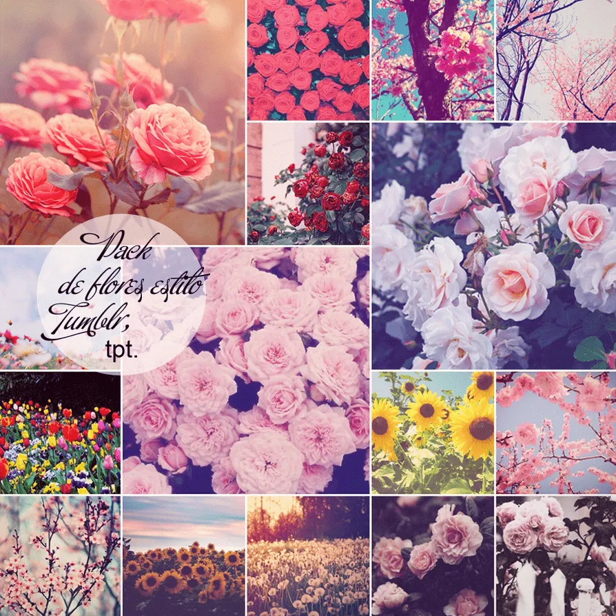 Pack de Flores estilo Tumblr by CloseYourEyesNow on DeviantArt