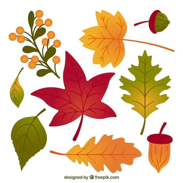 Pack de hojas de otoño dibujadas a mano | Vector Gratis