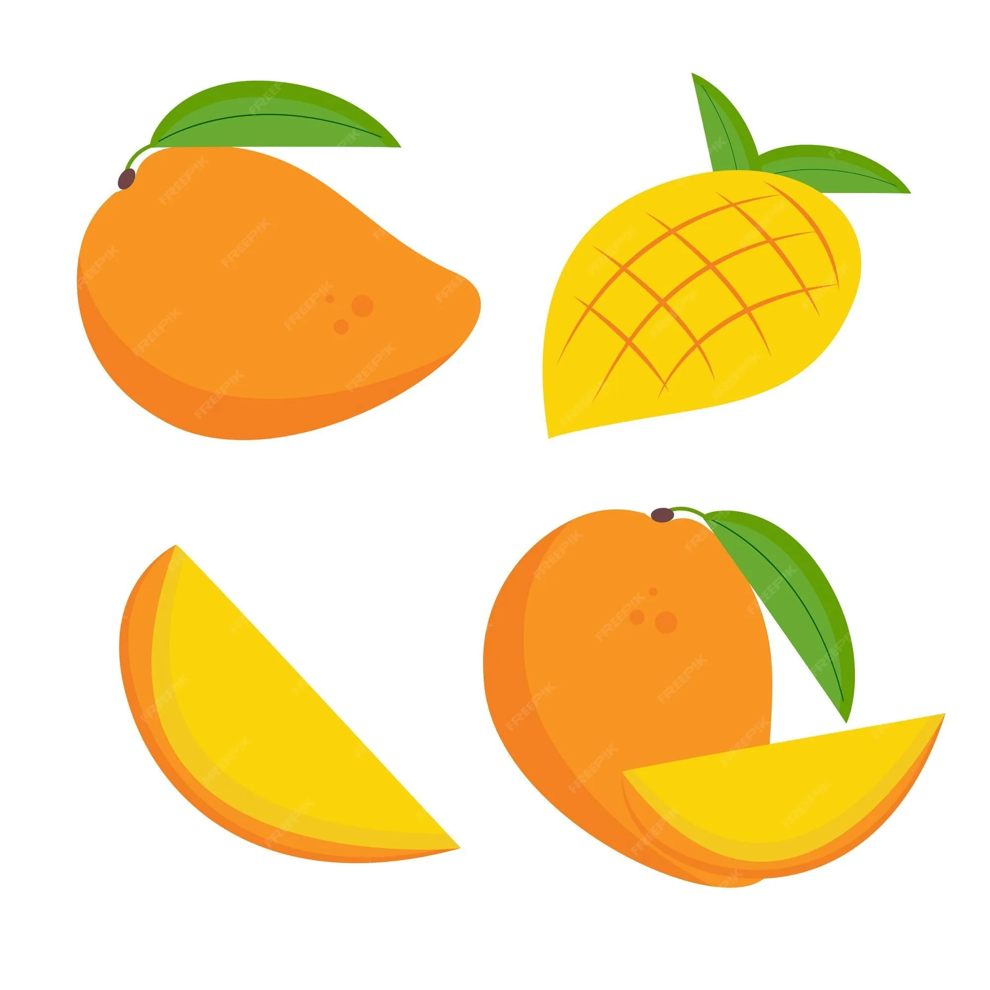 Página 25 | Vectores e ilustraciones de Rebanada de mango para descargar  gratis | Freepik