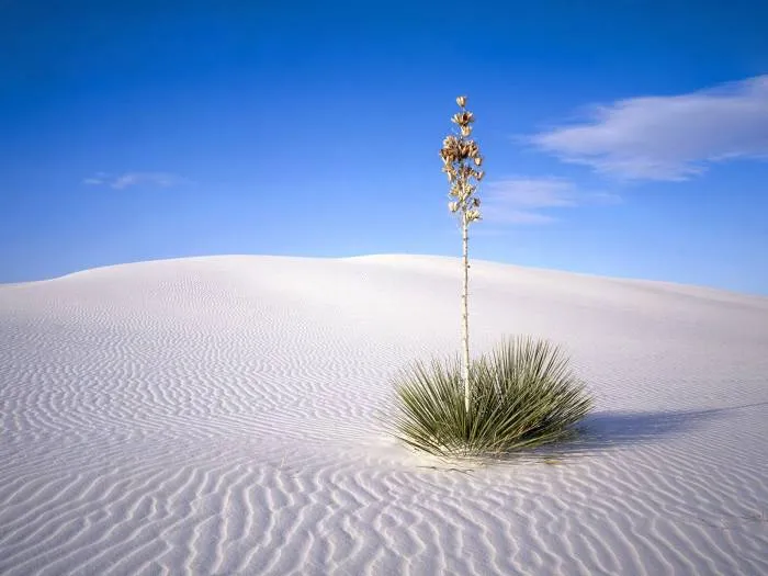 Paisagens Espetaculares - Metamorfose Digital