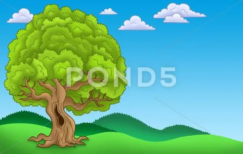 Paisaje Con Gran Árbol Frondoso Gráficos, Ilustraciones, Arte y ...