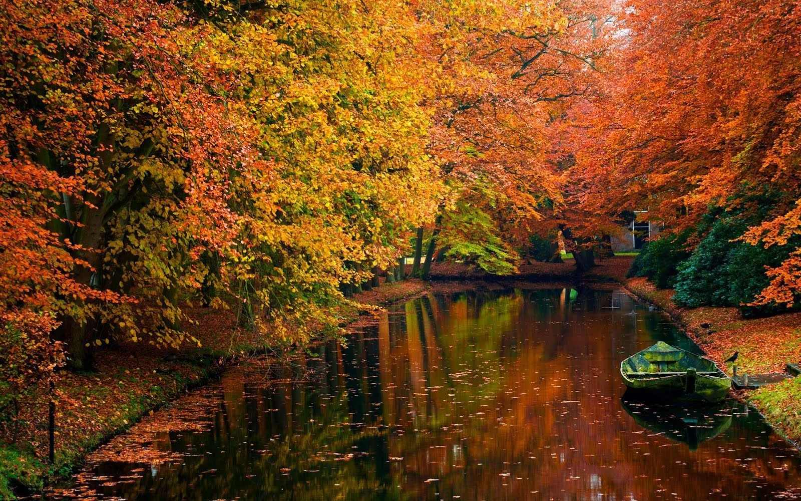 Paisaje con árboles en otoño junto al canal (1920x1200) | Banco de ...