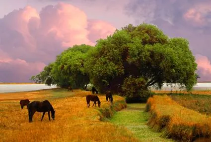 Paisaje Astral con caballos Enrique Arechavala Vargas - Artelista.