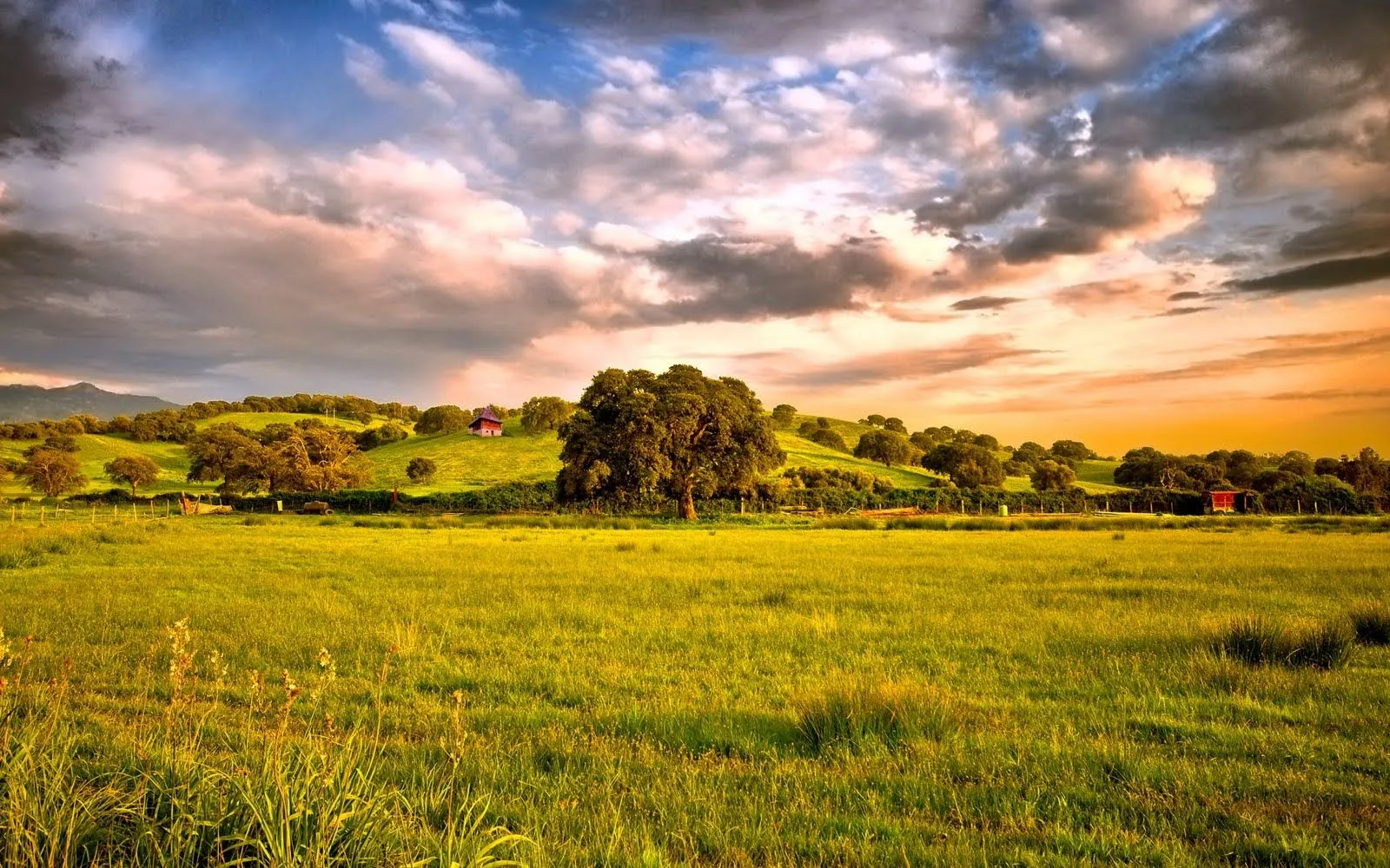 Paisaje de campo con cielo nublado | Wallpaper-