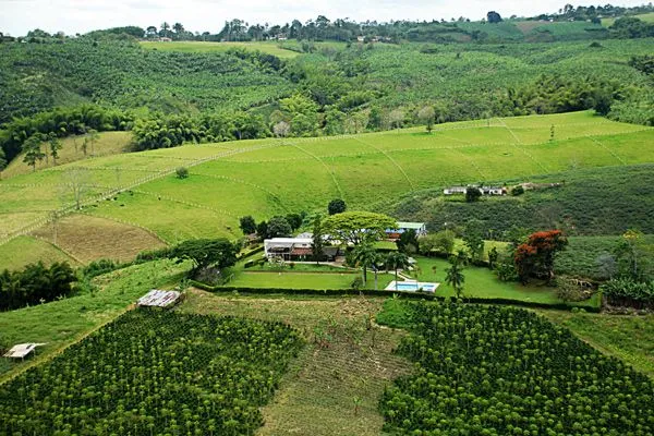 Paisaje Cultural Cafetero: Patrimonio Mundial La Crónica del ...