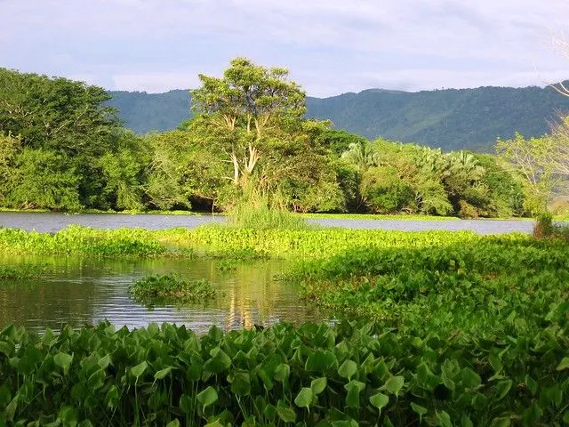 Paisaje de Gauarinocito. Caldas, Colombia | Flickr - Photo Sharing!