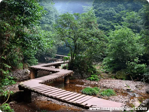 Imagenes de paisajes verdes para facebook - Imagenes Romanticas ...