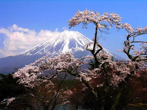 Paisaje japon - Imagui