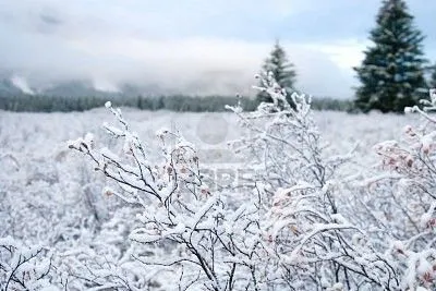 paisaje de nieve | Flickr - Photo Sharing!