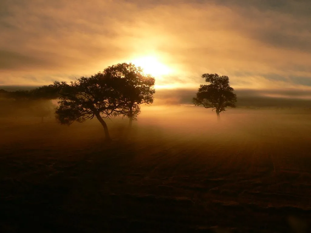  ... de paisaje preferida/Your favourite landscape picture in Paisajes del