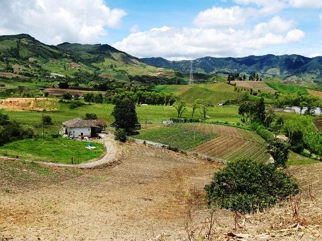 Paisaje rural municipio de El Carmen de Viboral, Antioquia ...