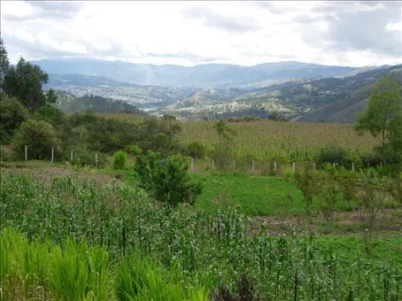 el paisaje (the landscape) of the country. - El Campo - Ecuador ...