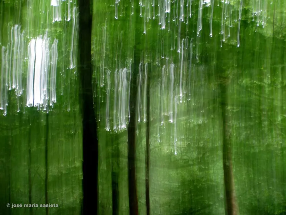 Paisaje verde - Green landscape