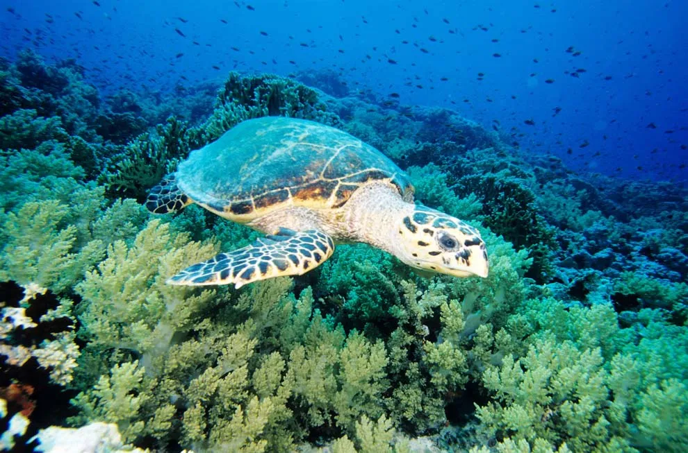 Los paisajes de agua más espectaculares del planeta