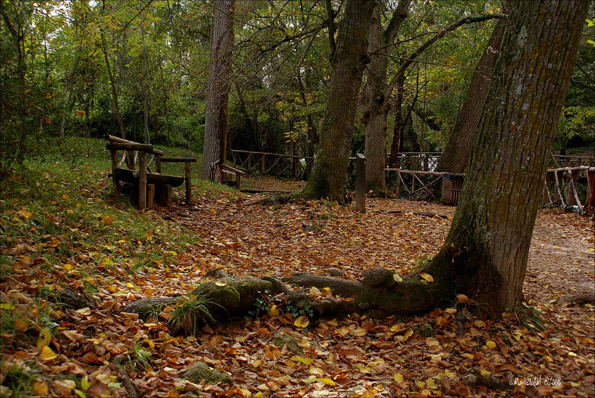 Paisajes con alma: Balada de Otoño