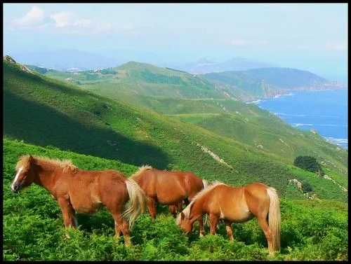 Imajenes del paisajes del campo - Imagui