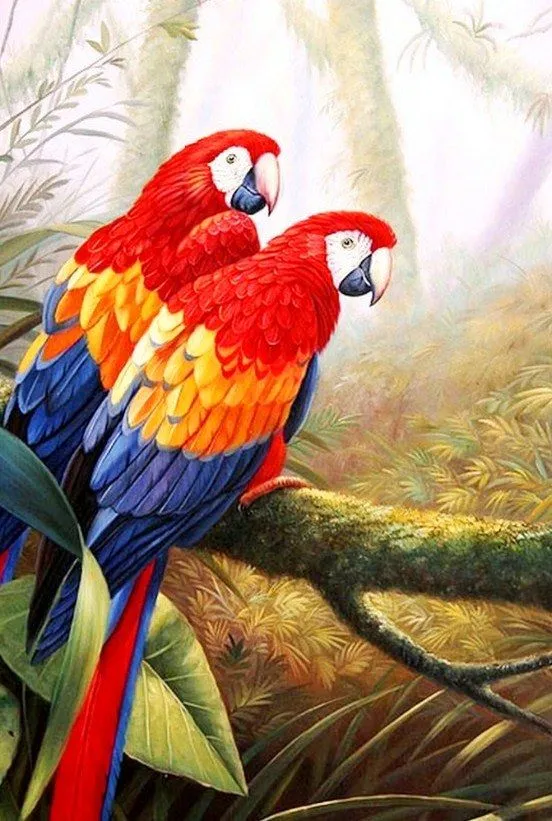 Paisajes y Bodegones en Pintura: Cuadros de guacamayas