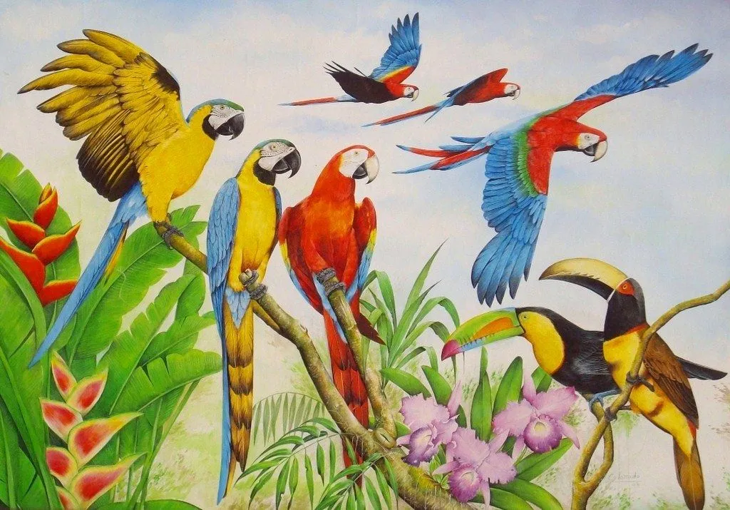 Paisajes y Bodegones: Cuadros de guacamayas