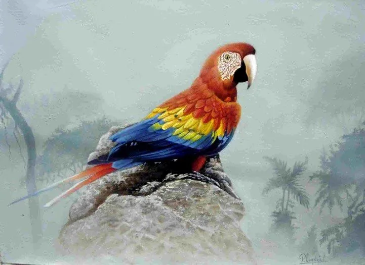 Paisajes y Bodegones en Pintura: PAISAJE CON GUACAMAYA OLEO