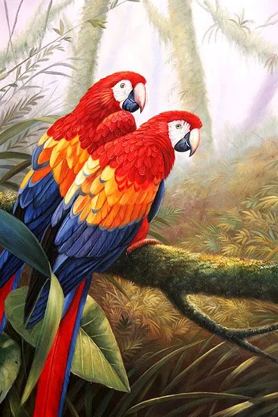 Paisajes y Bodegones: PINTURAS GUACAMAYAS