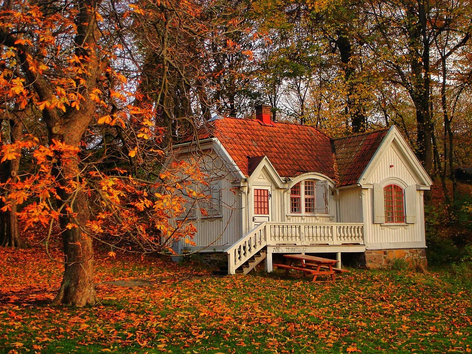 Paisajes bonitos bosque otoño - Imagui