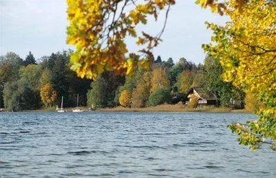 Paisajes de bosques