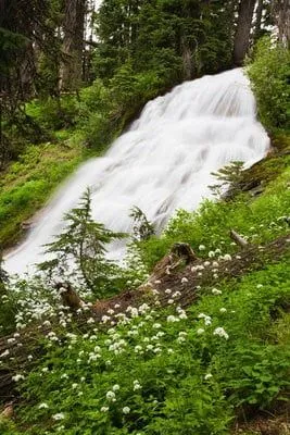 paisajes de bosques cascadas