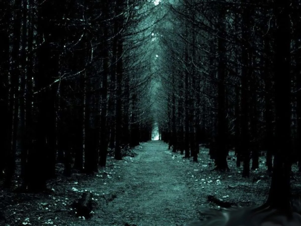 paisajes de bosques tenebrosos - Buscar con Google | bosques ...